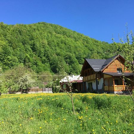 Casa Nova Villa Vişeu de Sus Eksteriør billede